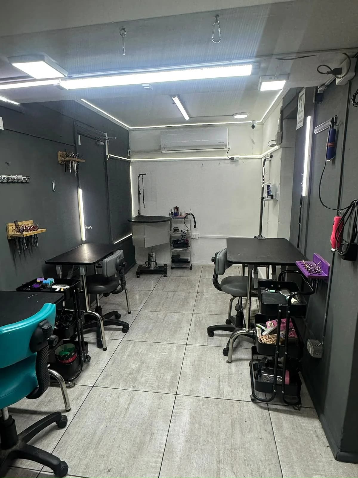 Interior de la peluquería canina con sus estaciones de trabajo