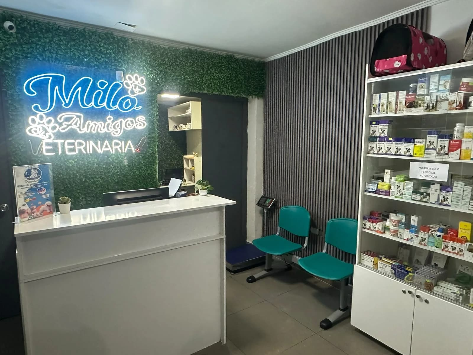 Recepción y sala de espera de Milo y sus amigos en Santiago